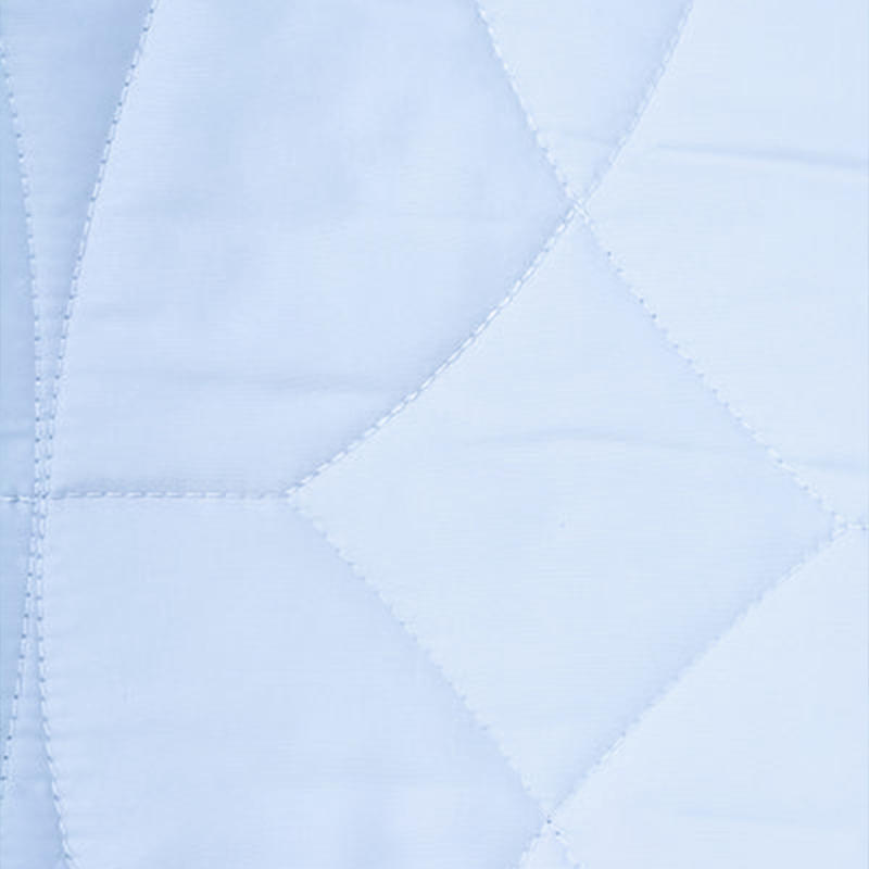 Light Blue Simple and Soft Polyester Quilted Mattress Cover