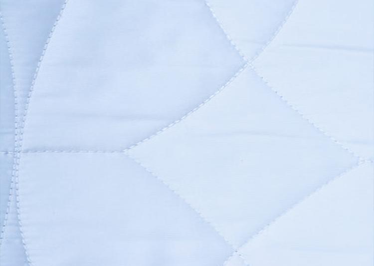 Mattress Protector Defender for Hygiene